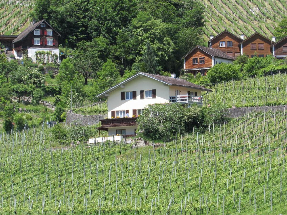 Haus Buenten Quinten Екстер'єр фото
